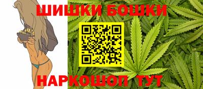 шишки Заводоуковск