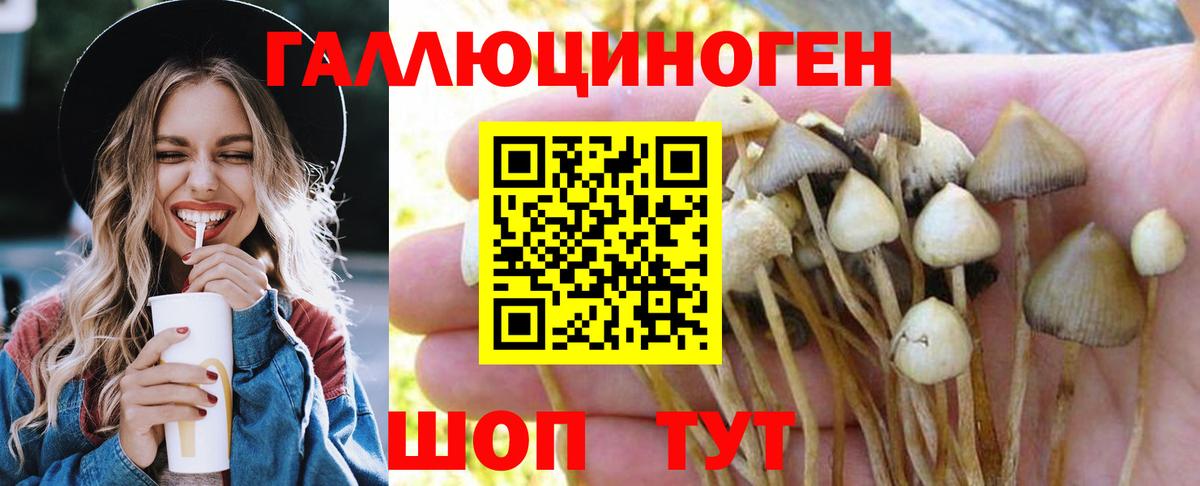 Галлюциногенные грибы MAGIC MUSHROOMS Нягань